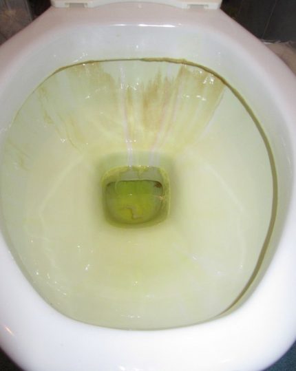 Yellow plaque in the toilet Limescale