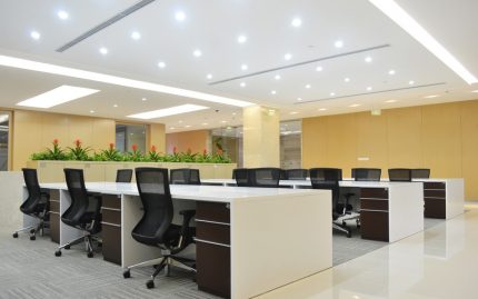 Cold light is ideal for large, spacious areas. Office lighting