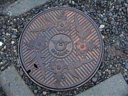 Round hatch model Sewer manhole with a pattern