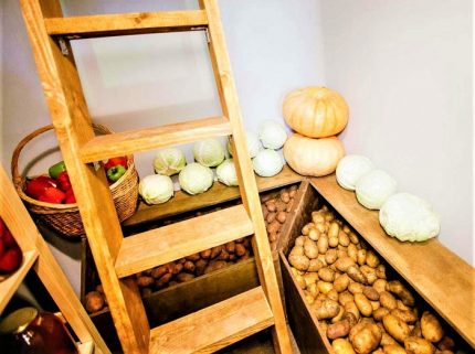 Ótimas condições de armazenamento para legumes frescos Legumes frescos no porão