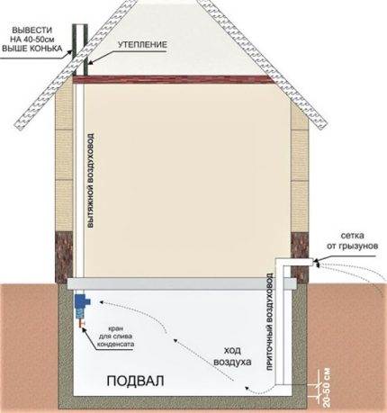 Layout simples do dispositivo de ventilação do porão Esquema de ventilação do porão
