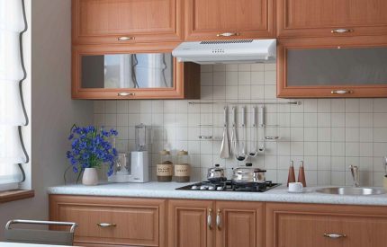 Ang built-in na hanay ng hood