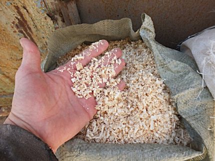 Apparence de sciure Sciure et copeaux dans la paume de votre main