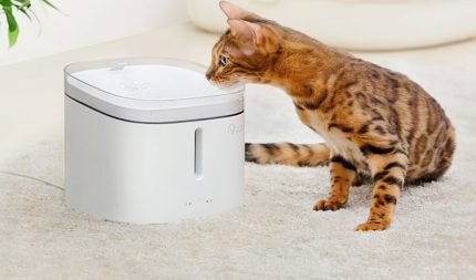 Abreuvoir pour animaux Abreuvoir pour animaux