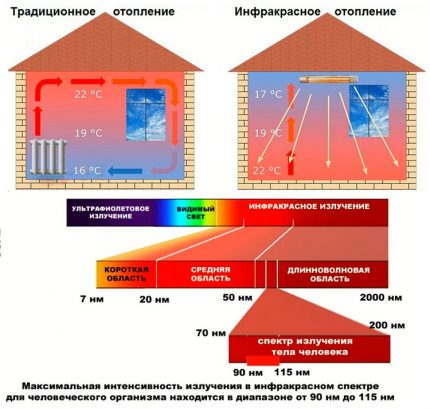 Differences between infrared and light radiation