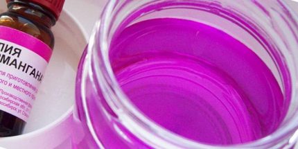 Manganese solution Ang kinakailangang kulay ng solusyon