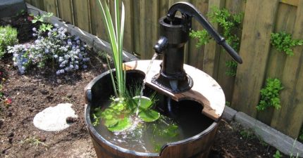Compact pump on site Mini pond with hand pump