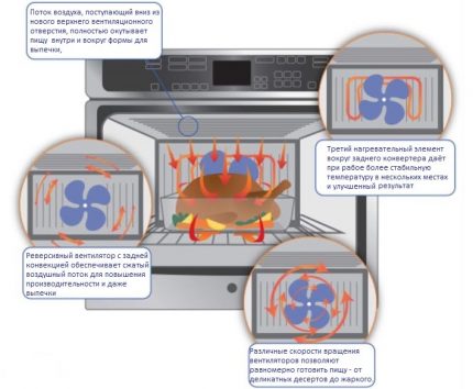 Het werkingsprincipe van de oven met convectie Het werkingsprincipe van de oven met convectie