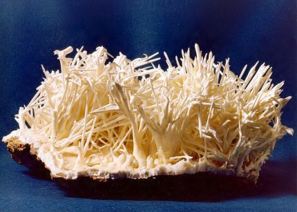 Ang mga karayom ng mga karayom para sa pagkawasak ng mga deposito ng mineral Mga kristal ng Aragonite