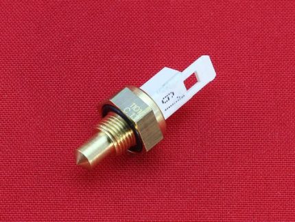 Sensor ng temperatura para sa boiler Ang sensor ng temperatura ay hiwalay sa kawad