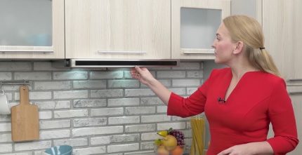 Built-in hood model Ergonomic hoods