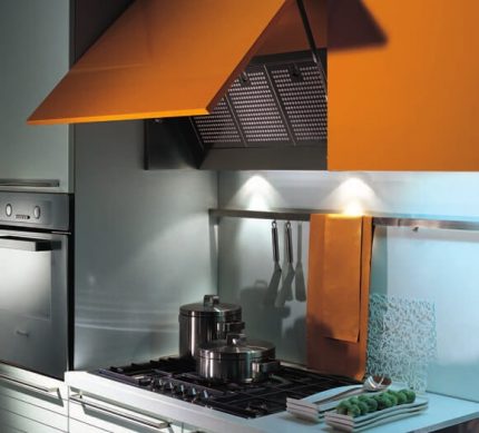 Hood for hoods Special fume hood