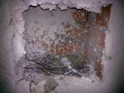 Prise de conduit d'air Conduits de ventilation bouchés