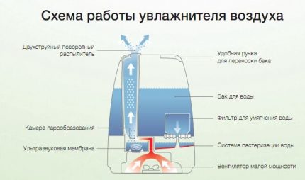 Ultraskaņas mitrinātāja darbības princips Ultraskaņas mitrinātāja darbības princips