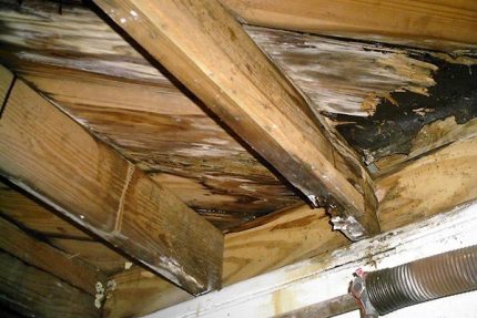 Vigas apodrecidas - resultado de falta de ventilação de qualidade