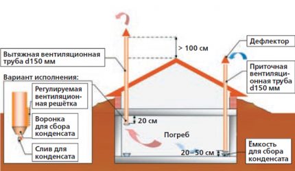 Како направити повртњак у гаражи Вентилациони систем за поврће