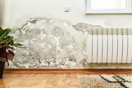 Mold on the walls