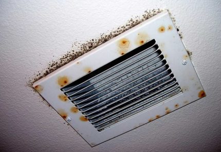 Sēne ventilācijā Sēne ventilācijā