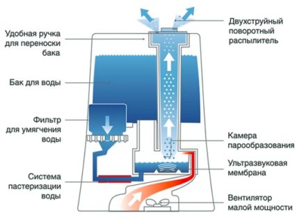 Ultrasound Device Diagram Ultrasound Device Diagram
