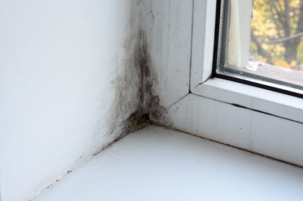 Μούχλα ως αποτέλεσμα της κακής ανταλλαγής αέρα Μούχλα ως αποτέλεσμα της κακής ανταλλαγής αέρα