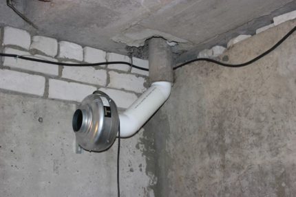 Halimbawa ng Varilasyon ng Cellar Halimbawa ng Varilasyon ng Cellar