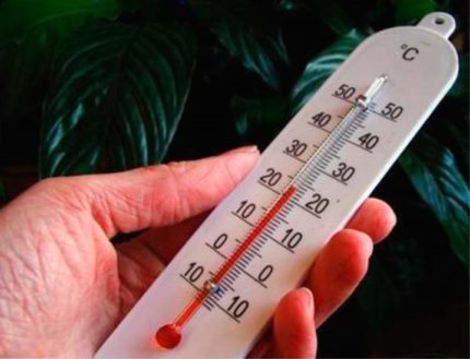 Checking the room temperature Checking the room temperature