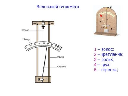 Hair Hygrometer Device Hair Hygrometer Device