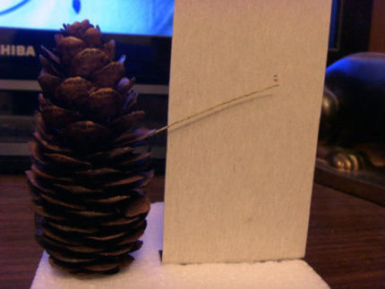 Hygrometer from cones Hygrometer from cones