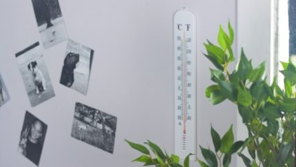 Wall thermometer Wall thermometer