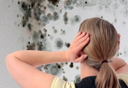 Mold on the walls Mold on the walls