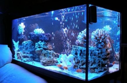 Aquarium rétro-éclairé pour chambre