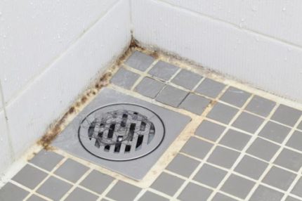 Mold in showers Mold in showers