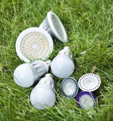 Ampoules LED